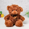 Мягкая игрушка «Медведь», 20 см, цвет коричневый