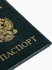 Обложка для паспорта, цвет зелёный