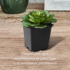 Горшок для рассады, 250 мл, 7×7×8 см, пластик, чёрный