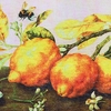 Свиток настенный «Лимоны и шмель», панно