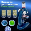 Микроскоп «Юный исследователь», со штативом для смартфона, увеличение х1200