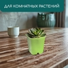 Горшок для рассады, 250 мл, 7×7×8 см, пластик, МИКС