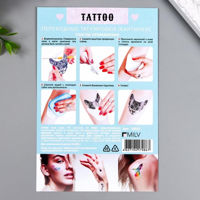 Переводные тату на тело чёрные «Котики», 10×15 см
