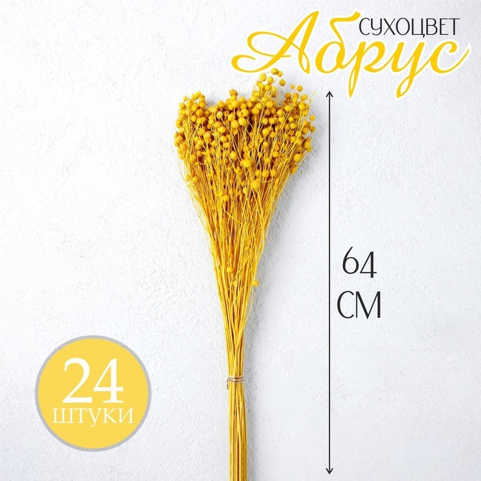 Сухоцвет «Абрус» набор 24 шт., желтый