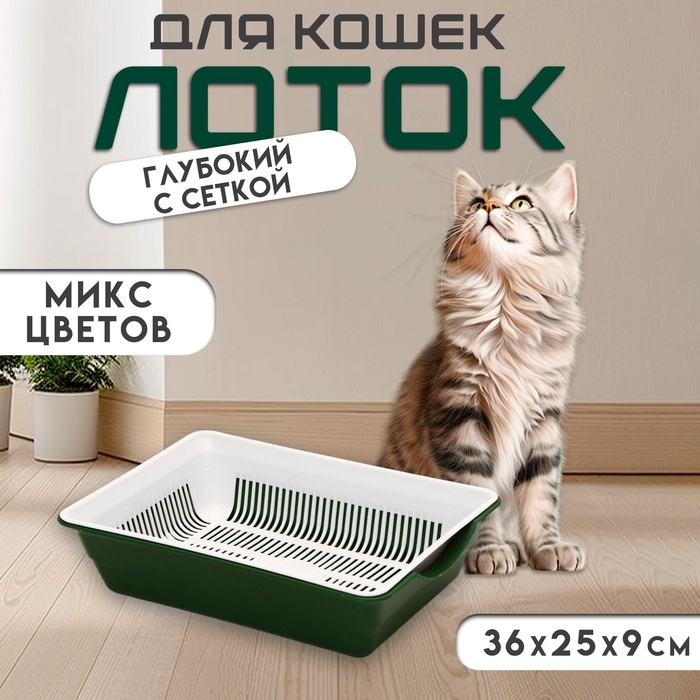 Туалет глубокий с сеткой 36 х 25 х 9 см, микс цветов