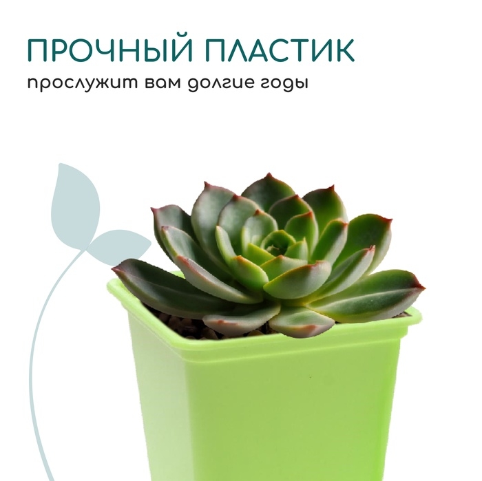 Горшок для рассады, 250 мл, 7×7×8 см, пластик, МИКС