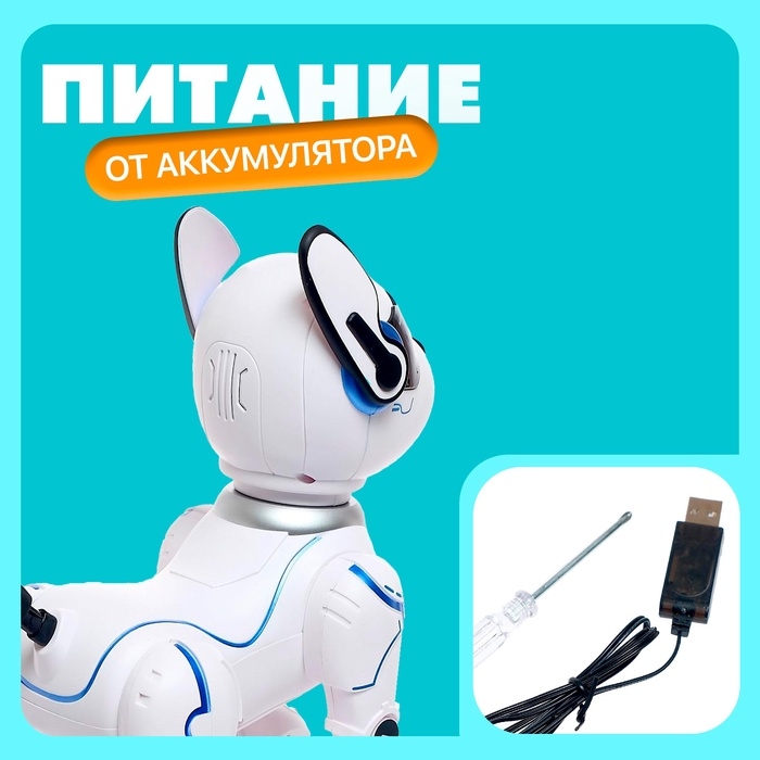 Робот собака «Фьючер» ZHORYA, на пульте управления, интерактивный: звук, свет, танцующий, музыкальный, на аккумуляторе
