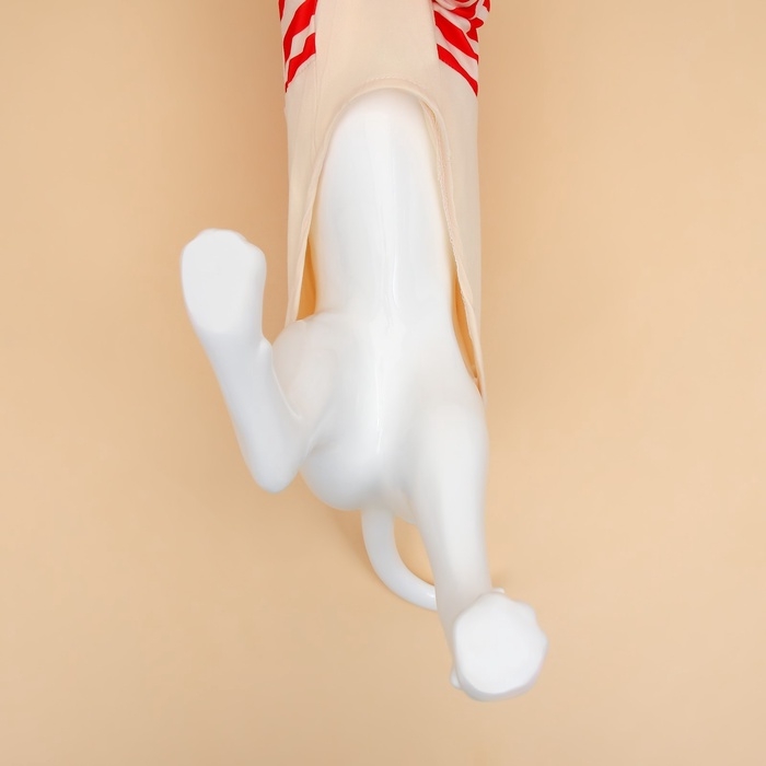 Футболка для животных Santa, S (ДС 25, ОГ 35 см)