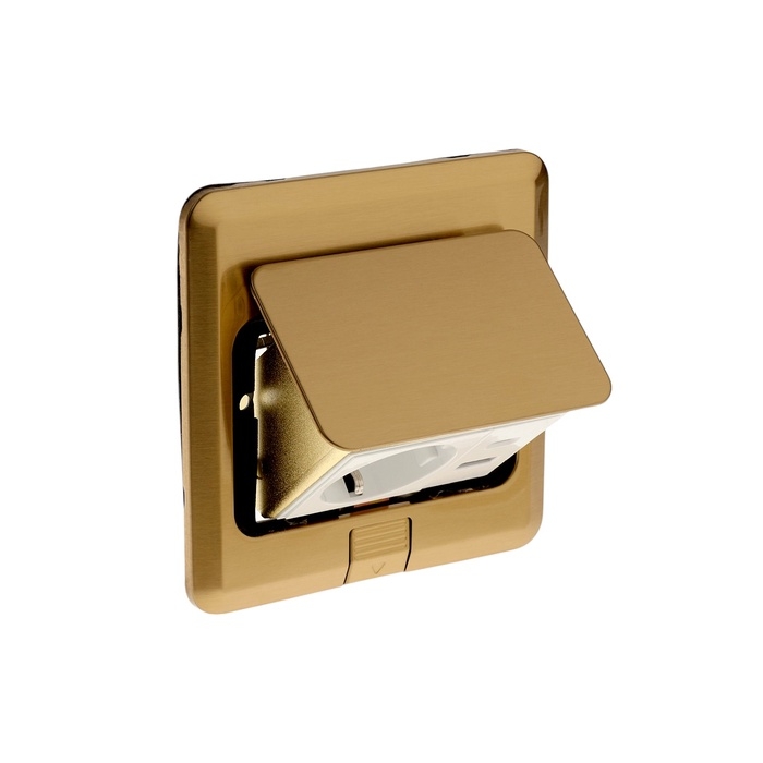 Розетка выдвижная, 16 А, одноместная, USB + Type-C, золотистая
