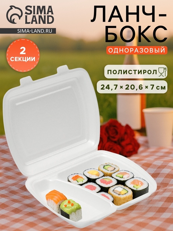 Ланч - бокс одноразовый, 24,7×20,6×7 см, 2 секции, белый