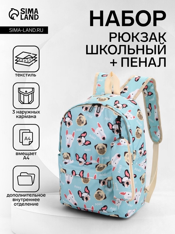 Набор: рюкзак школьный и пенал, с карманами, с рисунком, размер 29×12×41 см, голубой