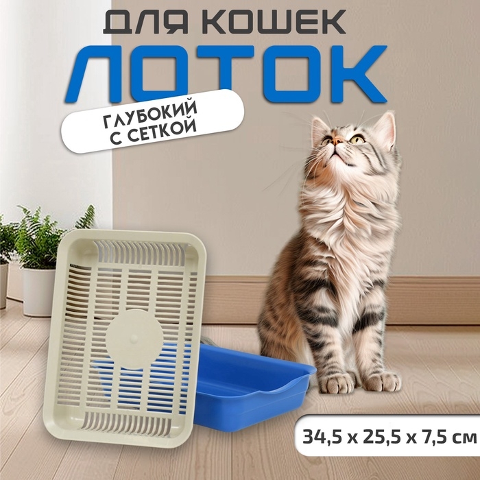 Лоток с сеткой 34.5×25.5×7.5 см, бежевый/синий