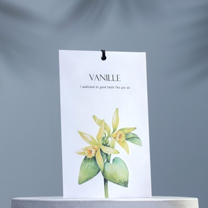 Аромасаше Vanille, ваниль, 11 г
