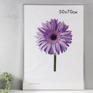 Фоторамка пластик Lida 50х70 см серебро