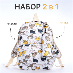 Набор: рюкзак школьный и пенал, с карманами, с принтом, белый/разноцветный
