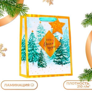 Пакет подарочный новогодний ламинированный "Зима - время чудес", 26×32×12 см