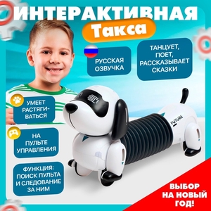 Робот собака «Такса» ZHORYA, на пульте управления, интерактивный: звук, свет, на аккумуляторе, на русском языке