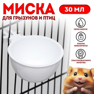 Миска для грызунов и птиц, 30 мл, белая