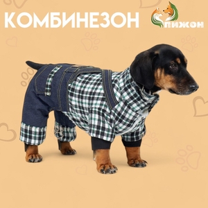 Комбинезон "Men", размер XS (ДС 20 см, ОГ 30 см, ОШ 20 см), синий