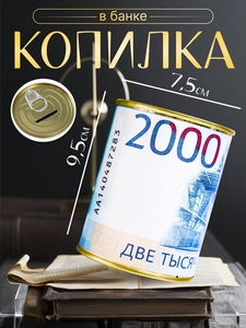 Копилка-банка металл "Две Тысячи рублей"