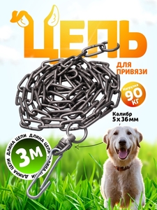 Цепь для привязи собак, 3 м, калибр 5 х 36 мм, черная