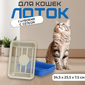 Лоток с сеткой 34,5 х 25,5 х 7,5 см, бежевый/синий