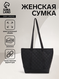 Сумка женская на молнии, цвет чёрный