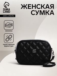 Сумка женская на молнии, цвет чёрный