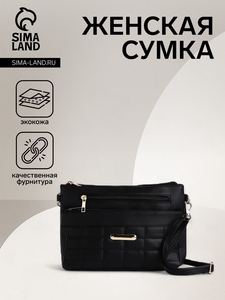 Сумка женская на молнии, цвет чёрный
