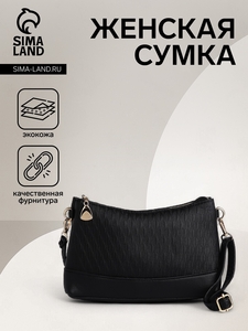 Сумка женская на молнии, цвет чёрный