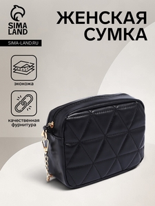 Сумка женская на молнии, цвет чёрный