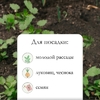 Конус посадочный, длина 25 см, деревянная ручка