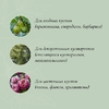 Кустодержатель, d=80 см, h=50 см, ножка d=2 см, пластик, чёрный, «Смородина +»