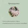 Кустодержатель для цветов, d = 40 см, h = 80 см, ножка d = 1 см, металл, зелёный