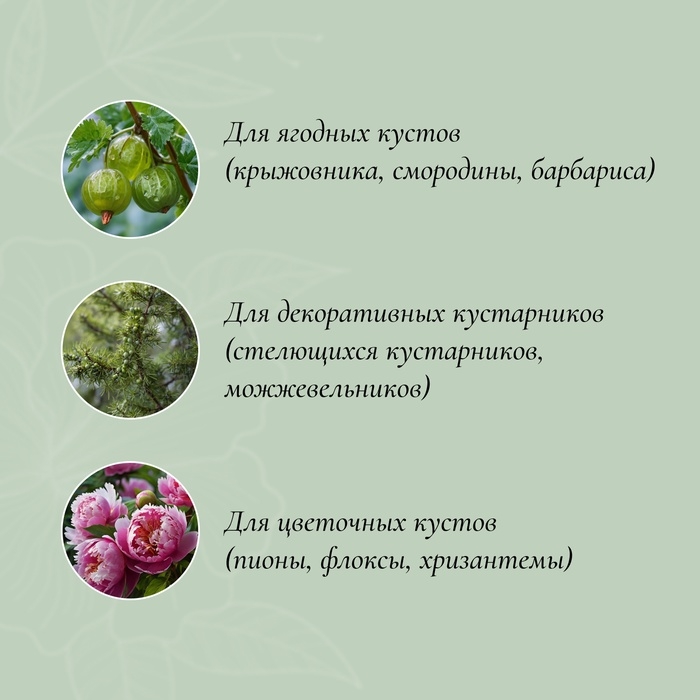 Кустодержатель, d=80 см, h=50 см, ножка d=2 см, пластик, чёрный, «Смородина +»