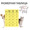 Комбинезон "Радуга" с капюшоном, размер XL (ДС 40 см, ОГ 50 см, ОШ 40 см)
