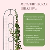 Шпалера, 200×50×1 см, металл, зелёная, «3 кольца»