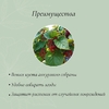 Кустодержатель, d=80 см, h=50 см, ножка d=2 см, пластик, чёрный, «Смородина +»