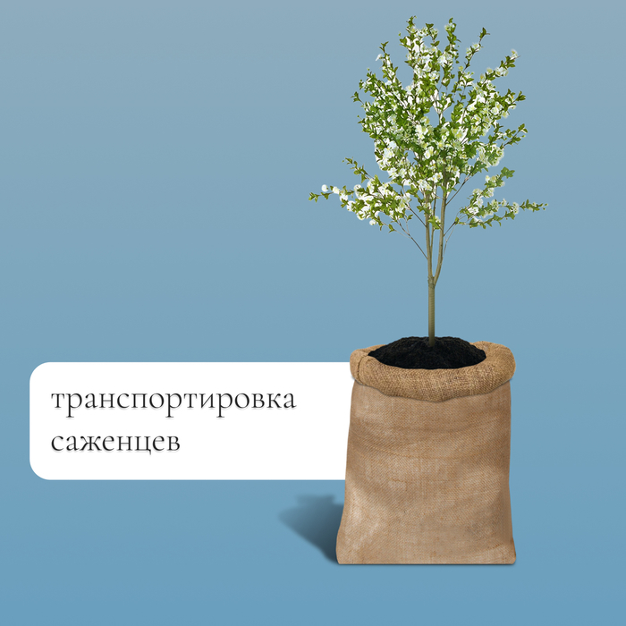 Мешок джутовый, 57×90 см, плотность 35×35 нитей, без завязок, Greengo