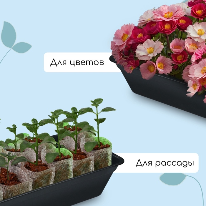 Ящик для рассады, 50×20×10 см, 6 л, пластик, цвет МИКС, «Урожай-3 м»