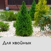 Чехол для укрытия растений, металлический каркас, 80×35 см, спанбонд с УФ-стабилизатором, плотность 60 г/м²