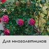 Чехол для укрытия растений, металлический каркас, 80×35 см, спанбонд с УФ-стабилизатором, плотность 60 г/м²