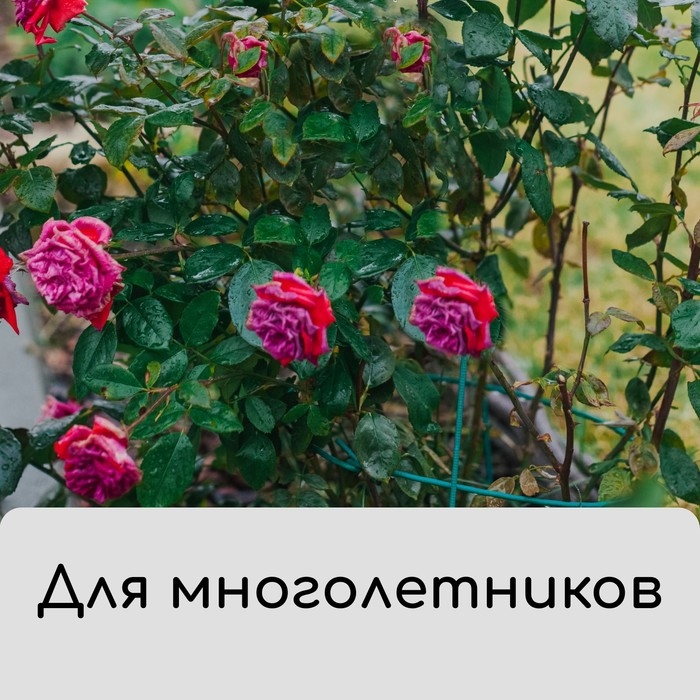 Чехол для укрытия растений, металлический каркас, 80×35 см, спанбонд с УФ-стабилизатором, плотность 60 г/м²
