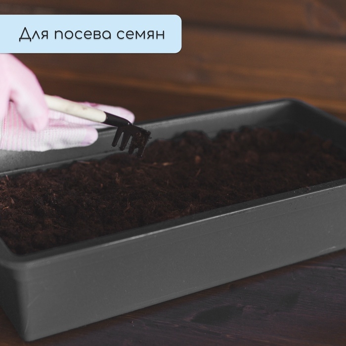 Ящик для рассады, 36 × 14 × 9 см, 3 л, пластик, чёрный
