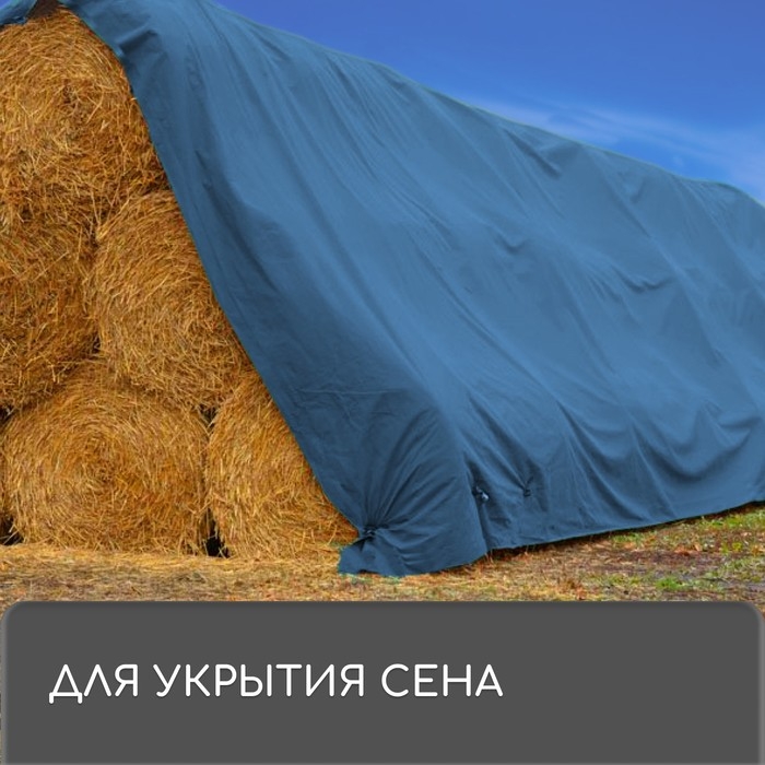Тент защитный, 3×2 м, плотность 60 г/м², УФ, люверсы шаг 1 м, синий