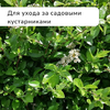 Секатор плоскостной, 9" (23 см), с пластиковыми ручками